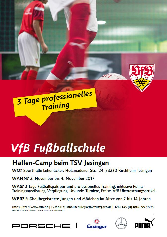VFB Fussballschule 2017 5